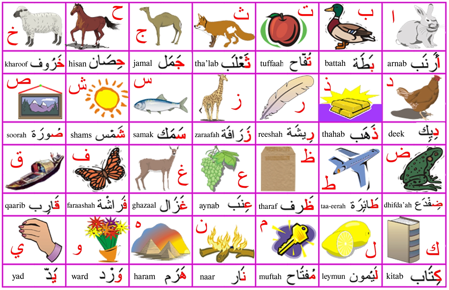 Arabic Letters Translation