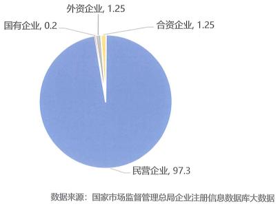 含机器翻译与人工智能业务的在营企业所属类型情况（%）